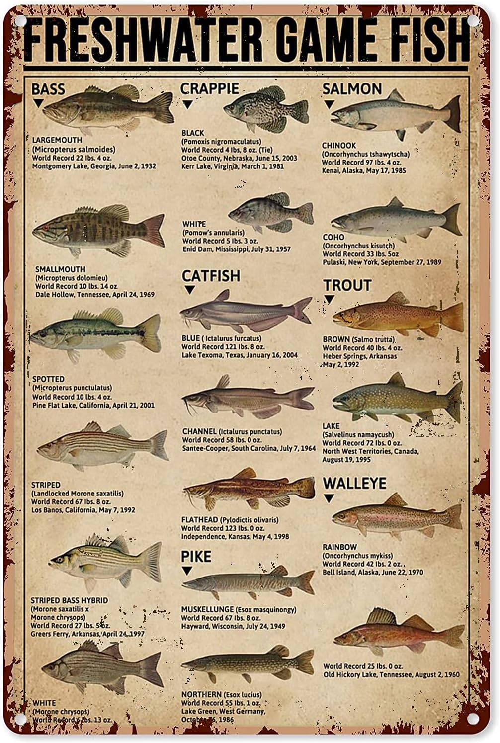 Home Improvement Game - Y1, Poster artistici da pesca, Targhetta