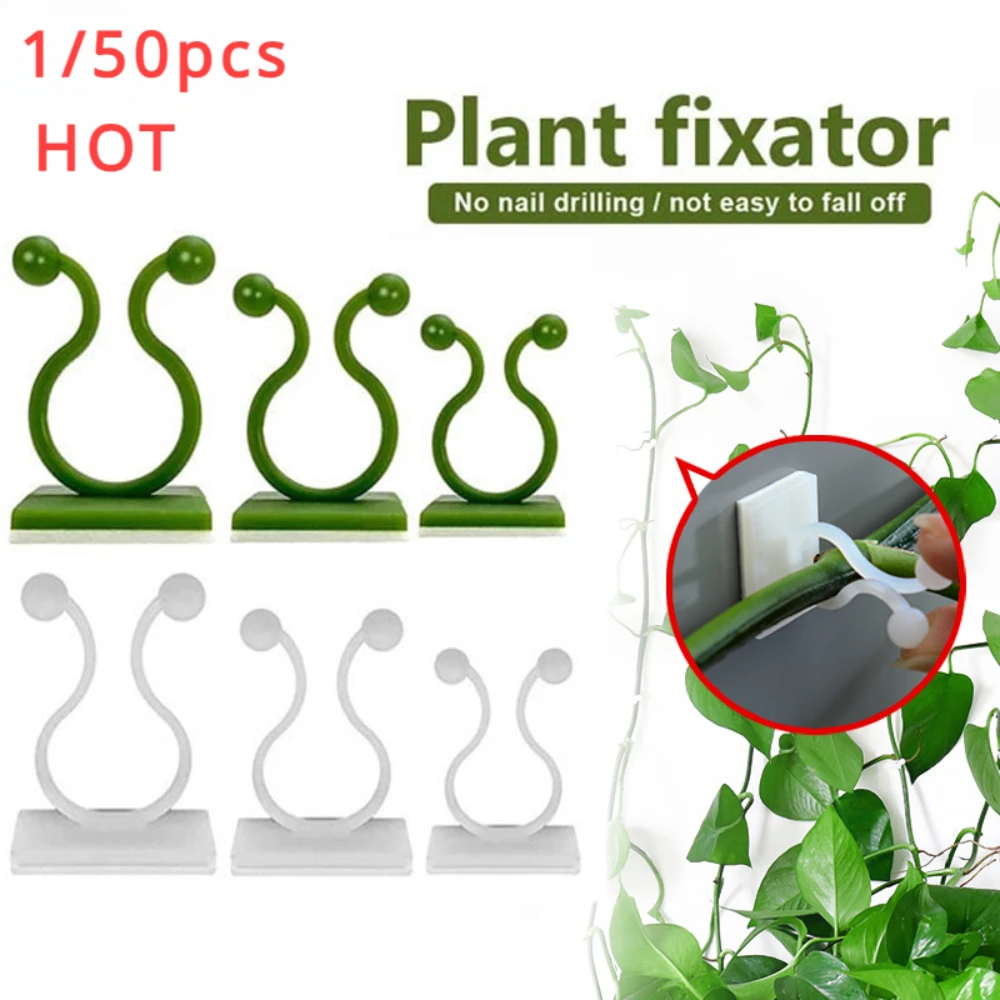Wall Anchor Plastic - 1/30/50 pezzi per accessori da giardino
