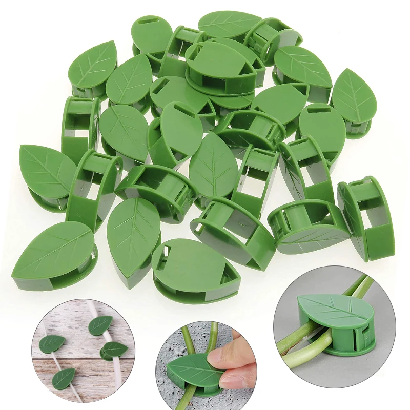 1-50 pezzi dispositivo per arr - Wall Anchor Plastic recensione e prezzo