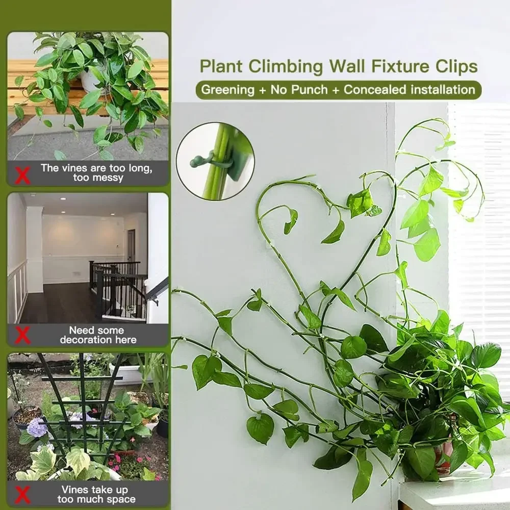 1/30/50 pezzi per accessori da - Wall Anchor Plastic recensione e prezzo