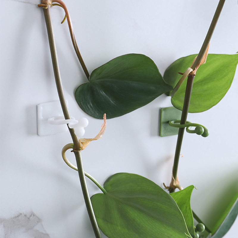 100 pz- Casa Giardino Pianta A - Wall Anchor Plastic recensione e prezzo