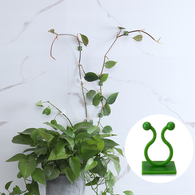 100 pz- Casa Giardino Pianta A - Wall Anchor Plastic recensione e prezzo